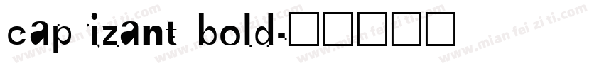 caprizant bold字体转换